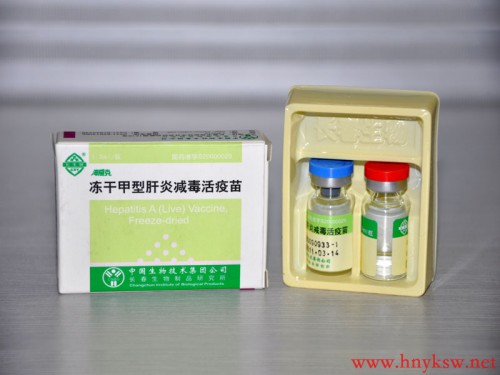 冻干甲型肝炎减毒活疫苗